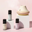Pure Aromatherapy for Mindful Living