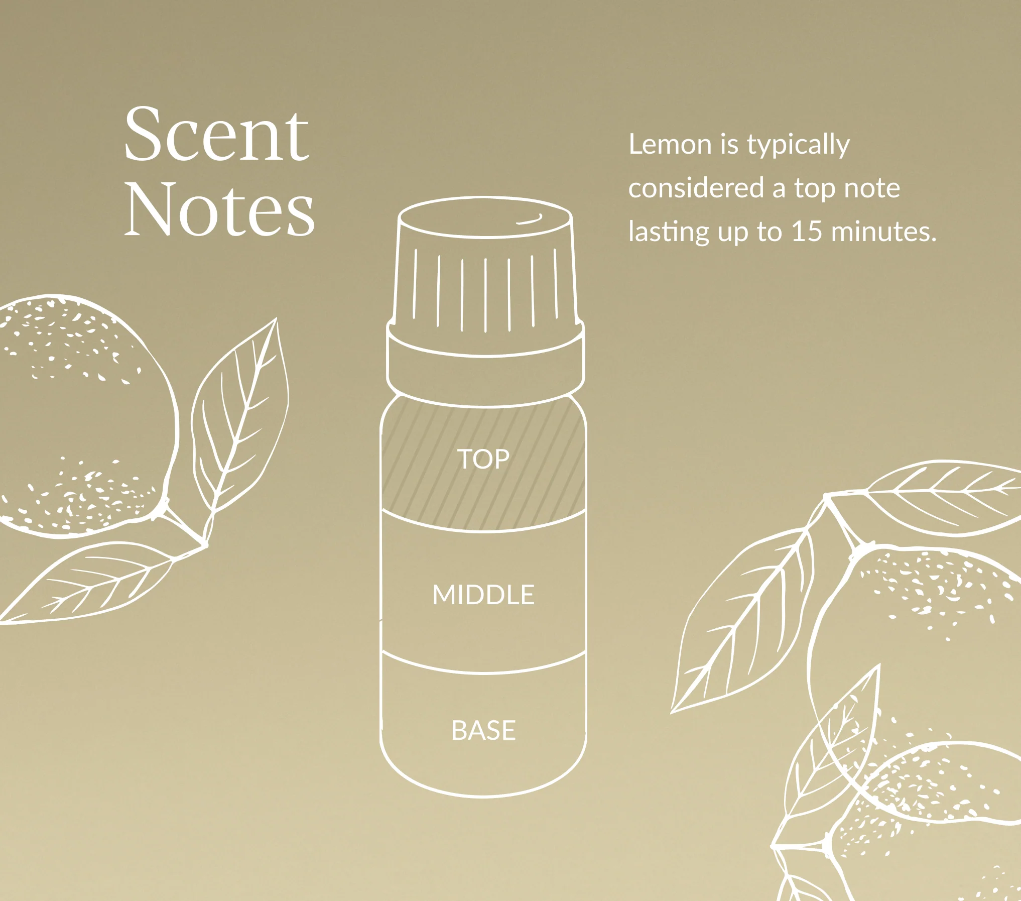 Lemon Essential Oil - Image 6