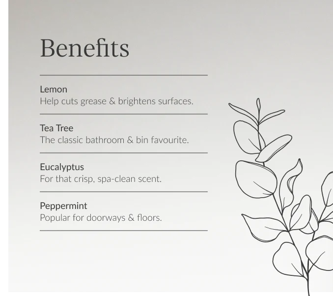Natural Cleaning Essentials Kit - Image 2