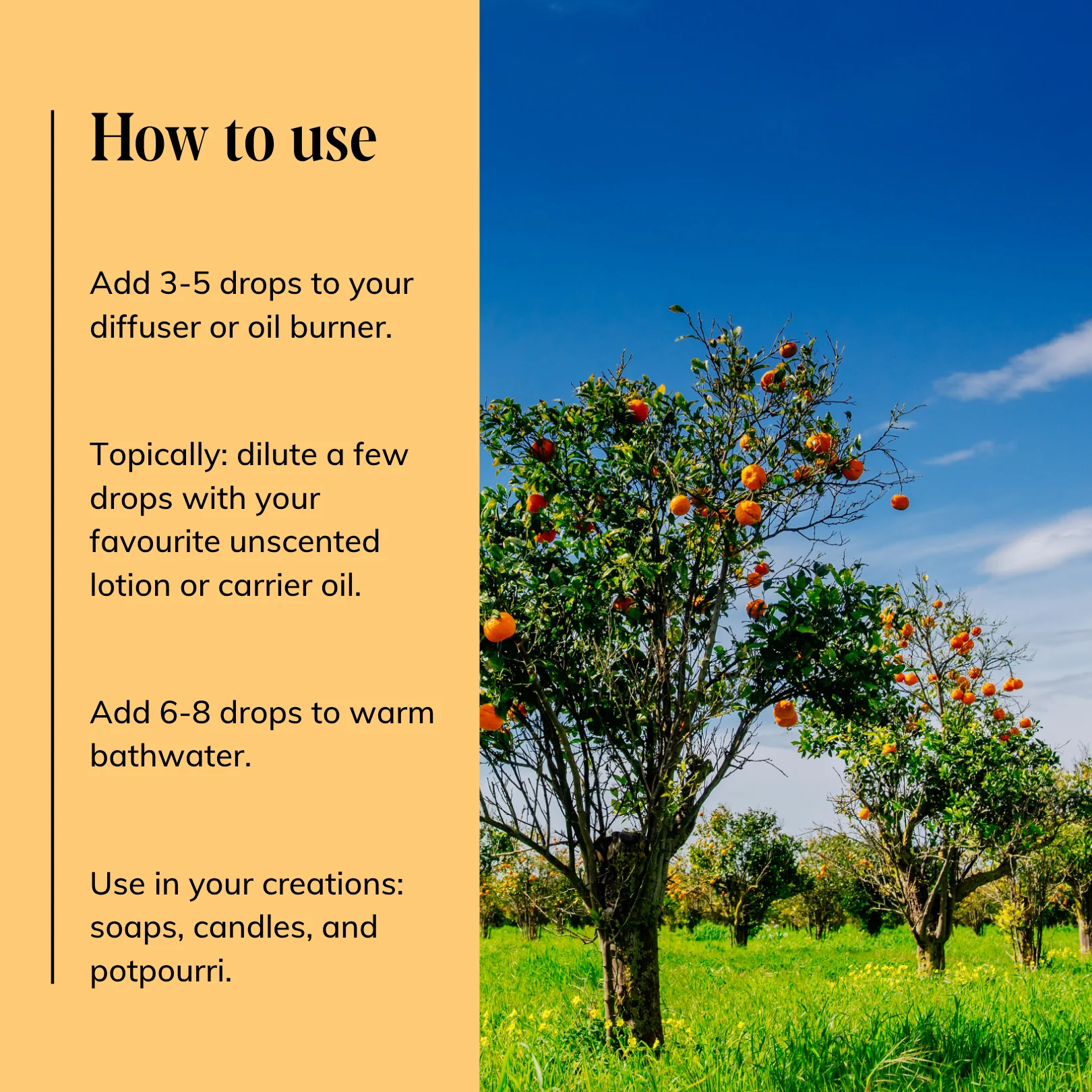 Orange Tree Essential Oil Blend - Image 2