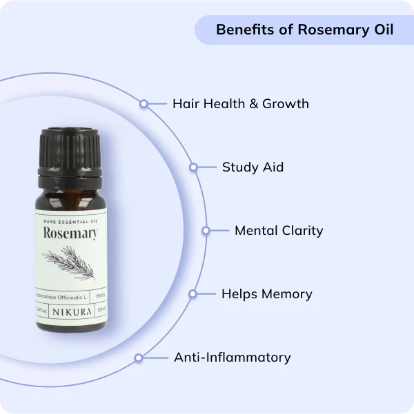 Rosemary Essential Oil - Image 5